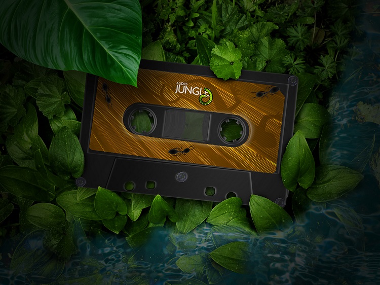 audio-jungle-compact-cassette