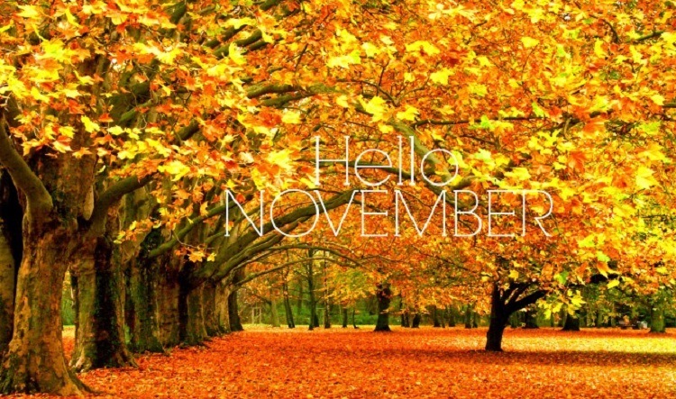 hello-november-fall